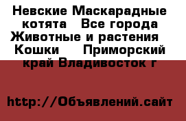 Невские Маскарадные котята - Все города Животные и растения » Кошки   . Приморский край,Владивосток г.